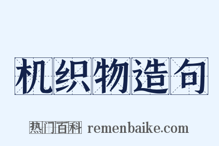 机织物造句是什么意思的图片